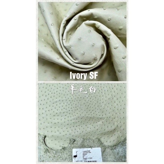 Hermes makes exclusive leather wild South African ostrich leather:3C wool white