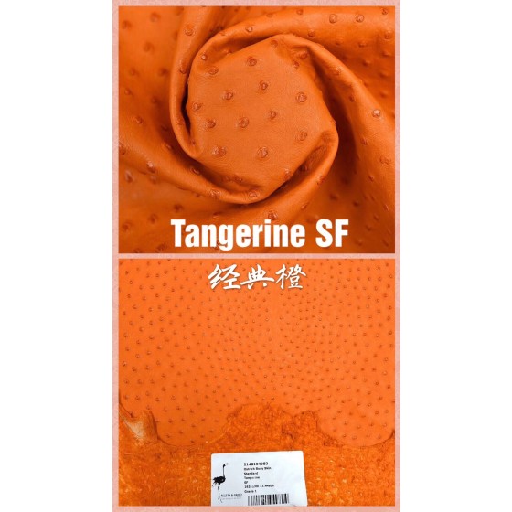 Hermes makes exclusive leather wild South African ostrich skin: 93 classic orange