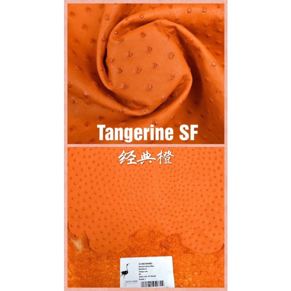 Hermes makes exclusive leather wild South African ostrich skin: 93 classic orange