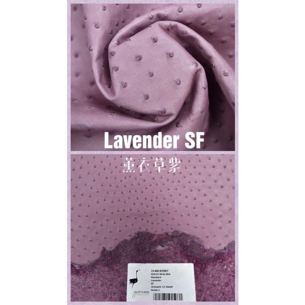 Hermes makes exclusive leather wild South African ostrich leather: 5H lavender purple