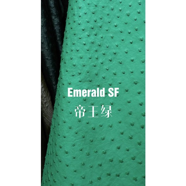 Hermes makes exclusive leather wild South African ostrich leather:06 Imperial Green