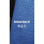 Hermes makes exclusive leather wild South African ostrich leather:7E bright blue