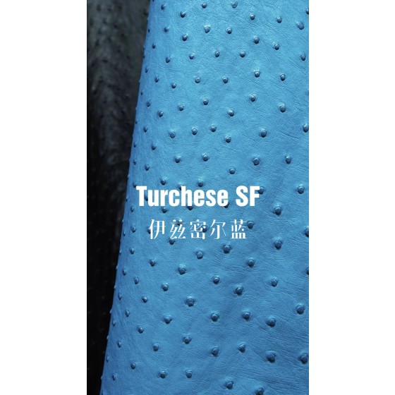 Hermes makes exclusive leather wild South African ostrich leather:7W Izmir Blue