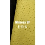 Hermes makes exclusive leather wild South African ostrich leather:9R lemon yellow