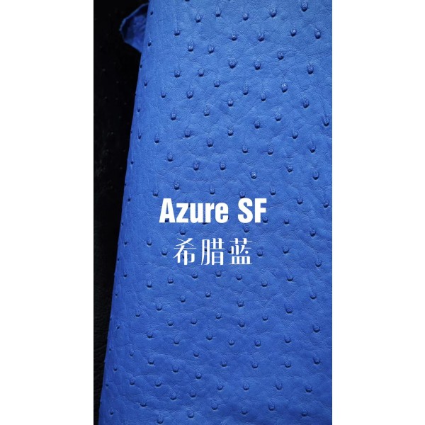 Hermes makes exclusive leather wild South African ostrich leather:7Q Greek blue