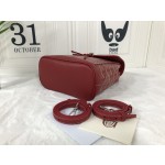 GOYARD Alpin Mini Backpack W30