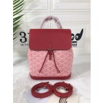 GOYARD Alpin Mini Backpack W30
