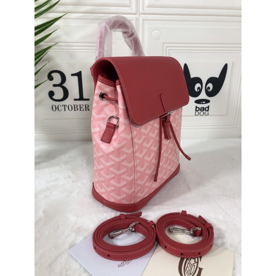 GOYARD Alpin Mini Backpack W30
