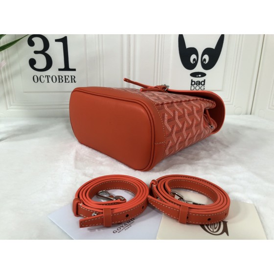 GOYARD Alpin Mini Backpack W30