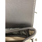 GOYARD Alpin Mini Backpack W30