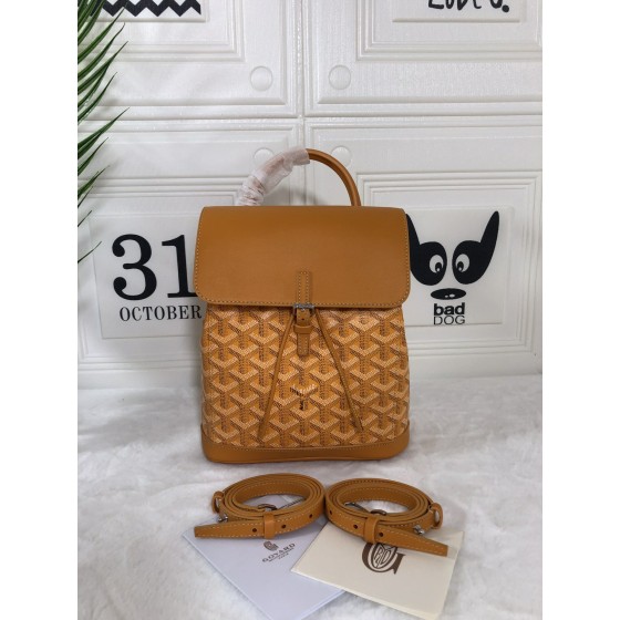 GOYARD Alpin Mini Backpack W30