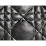 DIOR VIBE small dumpling bag