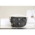 DIOR VIBE small dumpling bag