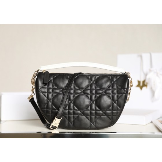 DIOR VIBE Medium Dumpling Bag