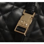 DIOR VIBE Medium Dumpling Bag