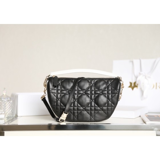 DIOR VIBE Medium Dumpling Bag