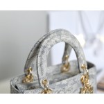 DIOR LADY-D-LITE five compartment daffy bag embroidered tiger gray