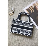 DIOR BOOK TOTE blue small five stars