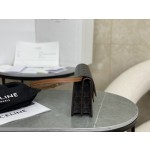 CELINE 𝒘𝒐𝒄 Package Model: 10D852