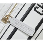 DIOR VIBE zipper bowling bag