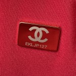 CHANEL backpack ❣️ AS3108