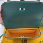 GOYARD Minaudi ère W25