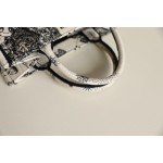 DIOR TOTE new constellation embroidery