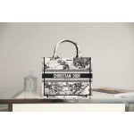 DIOR TOTE new constellation embroidery