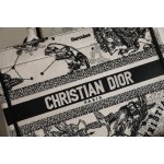 DIOR TOTE new constellation embroidery