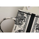 DIOR TOTE new constellation embroidery