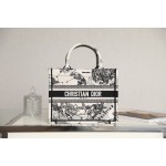 DIOR TOTE new constellation embroidery