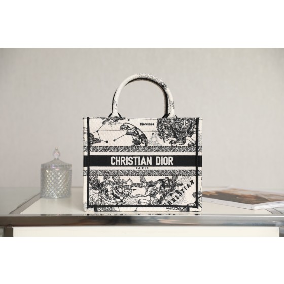 DIOR TOTE new constellation embroidery