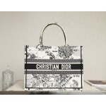 DIOR TOTE Constellation Embroidery