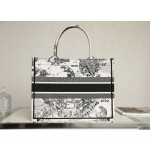 DIOR TOTE Constellation Embroidery