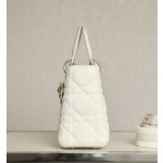 DIOR Lady five compartments Technical fabric fabric white DR-051