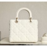 DIOR Lady five compartments Technical fabric fabric white DR-051