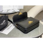 CELINE Arc de Triomphe Black Gold 𝗯𝗼𝘅 Medium Model: 187363