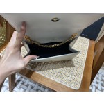 SAINT LAURENT #𝙆𝙖𝙩𝙚 20𝙘𝙢#474366Q