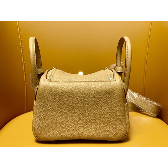 Mini Lindy cookie color tc leather gold buckle