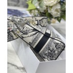 Dior [Lady D 🌟 Embroidery series: M8002 🌟 Black and white constellations