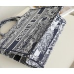 DIOR TOTE blue striped tiger