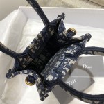 Dior Tote latest vertical version mini