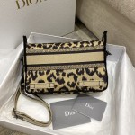 Dior new messenger bag