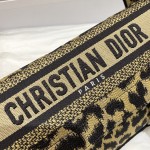 Dior new messenger bag
