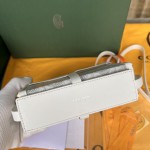 GOYARD Minaudi ère W24