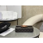 CELINE Embossed Arc de Triomphe Underarm Bag Model: 199242