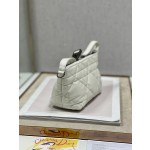 Dior Travel Nomad Clutch Bag