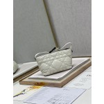 Dior Travel Nomad Clutch Bag