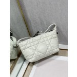 Dior Travel Nomad Clutch Bag