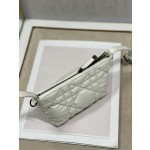 Dior Travel Nomad Clutch Bag